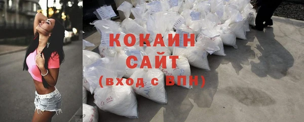 кокс Касимов