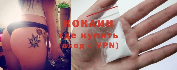 кокс Касимов