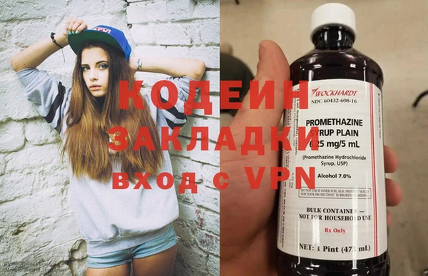 кокс Касимов