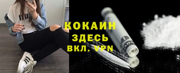 кокс Касимов