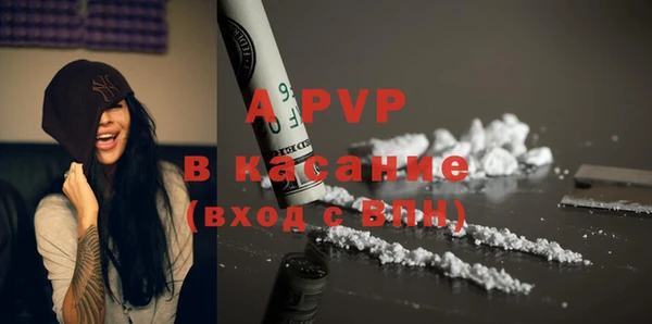 кокс Касимов