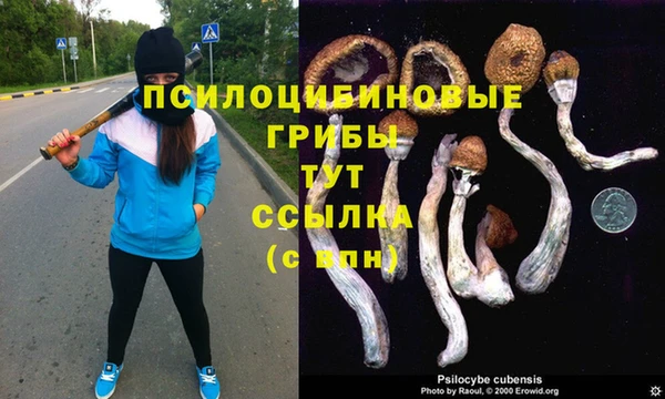 бутират Карпинск