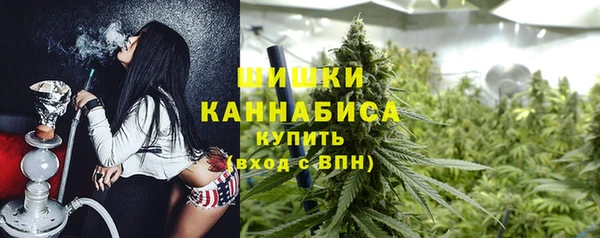 кокс Касимов