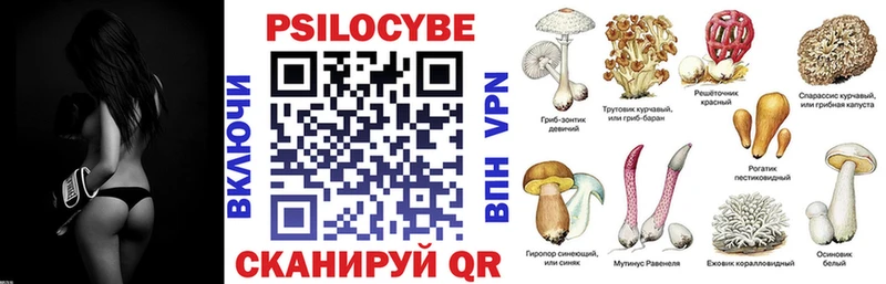 Галлюциногенные грибы Psilocybine cubensis  Купить где  Ханты-Мансийск 